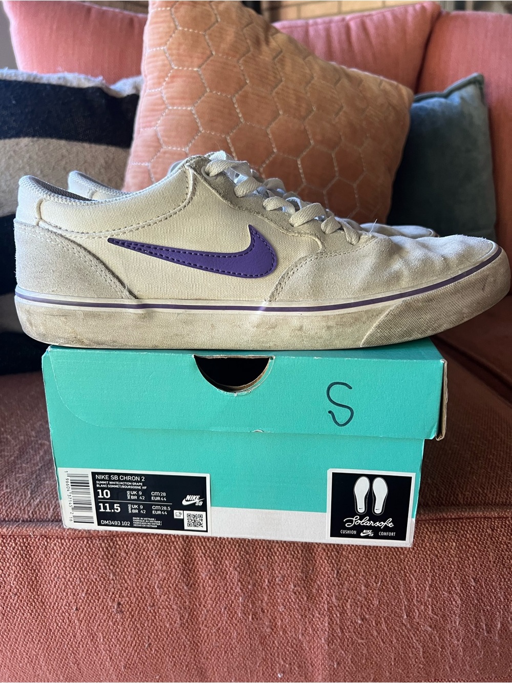 Nike Men’s Low-Top Skate Sneakers in Beige with Purple Swoosh